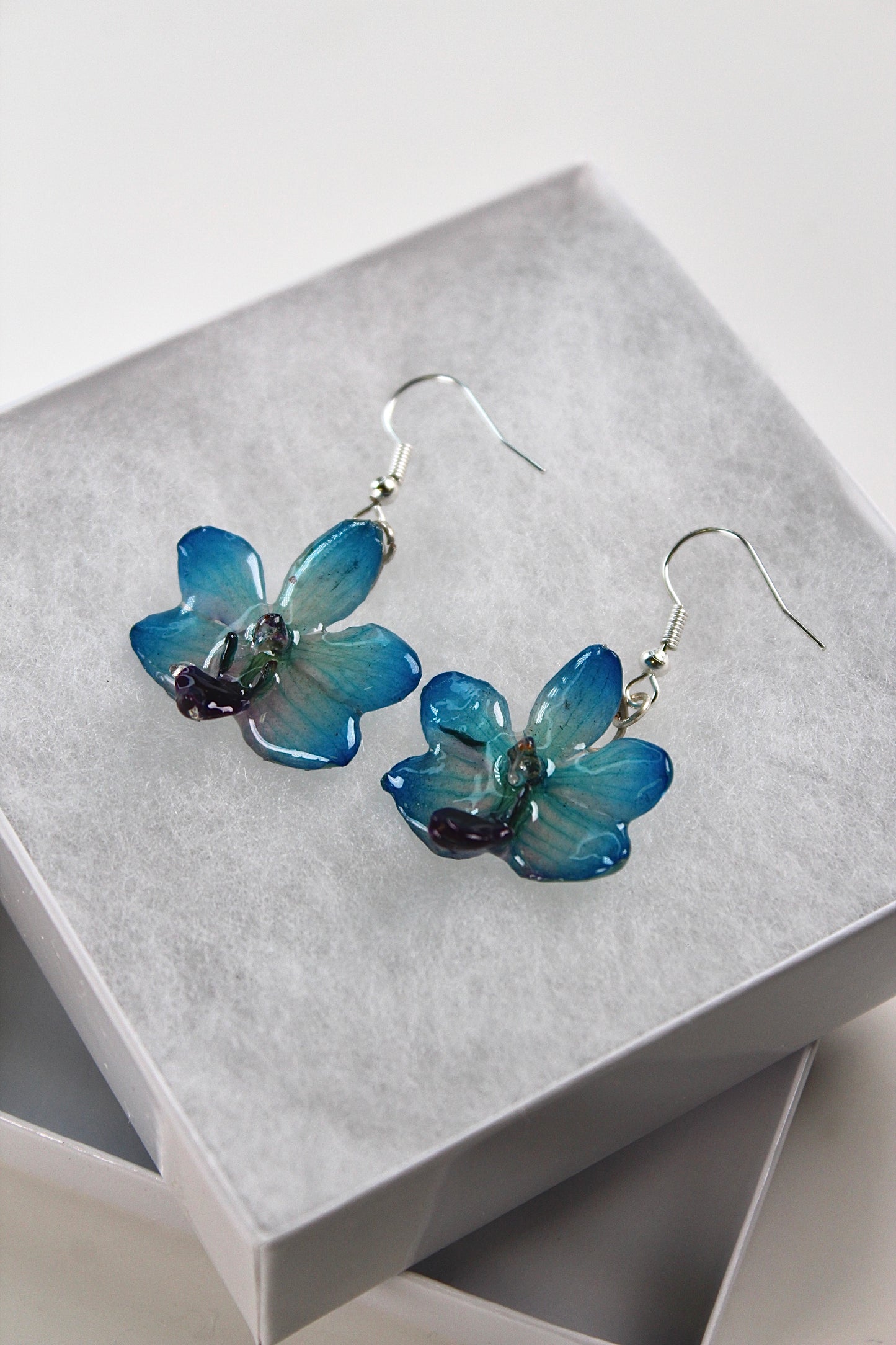 Real Flower Blue Doritis Orchid Earrings