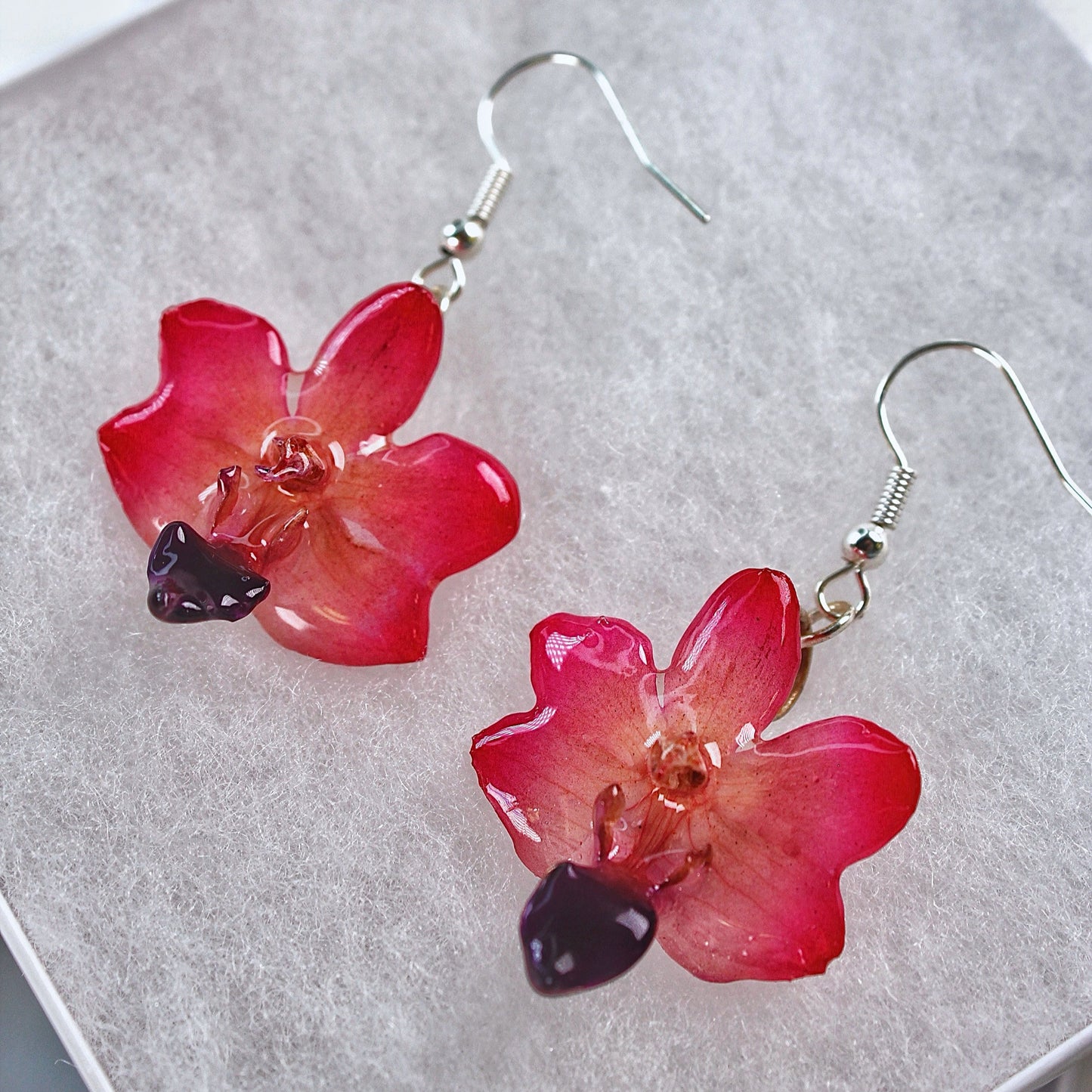 Real Flower Pink Doritis Orchid Earrings