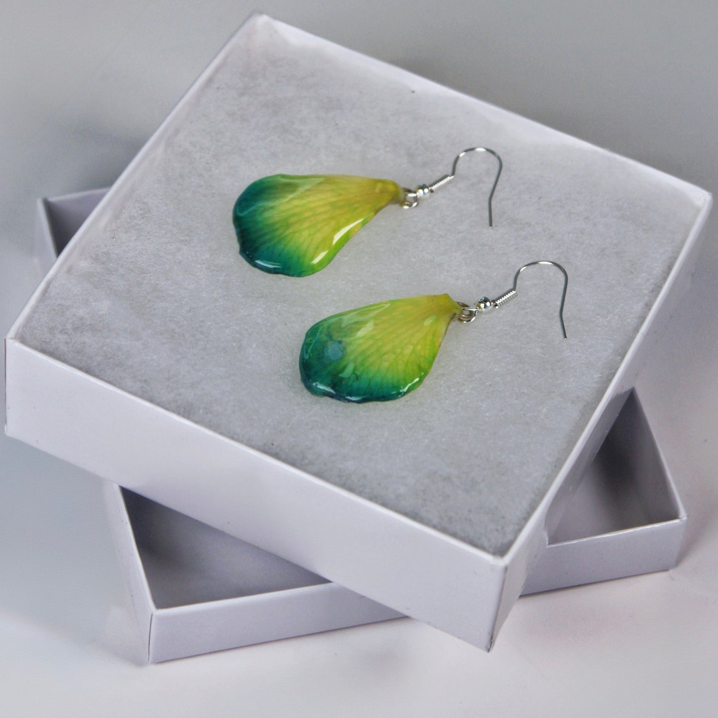 Real Flower Yellow/Green Petal Orchid Earrings