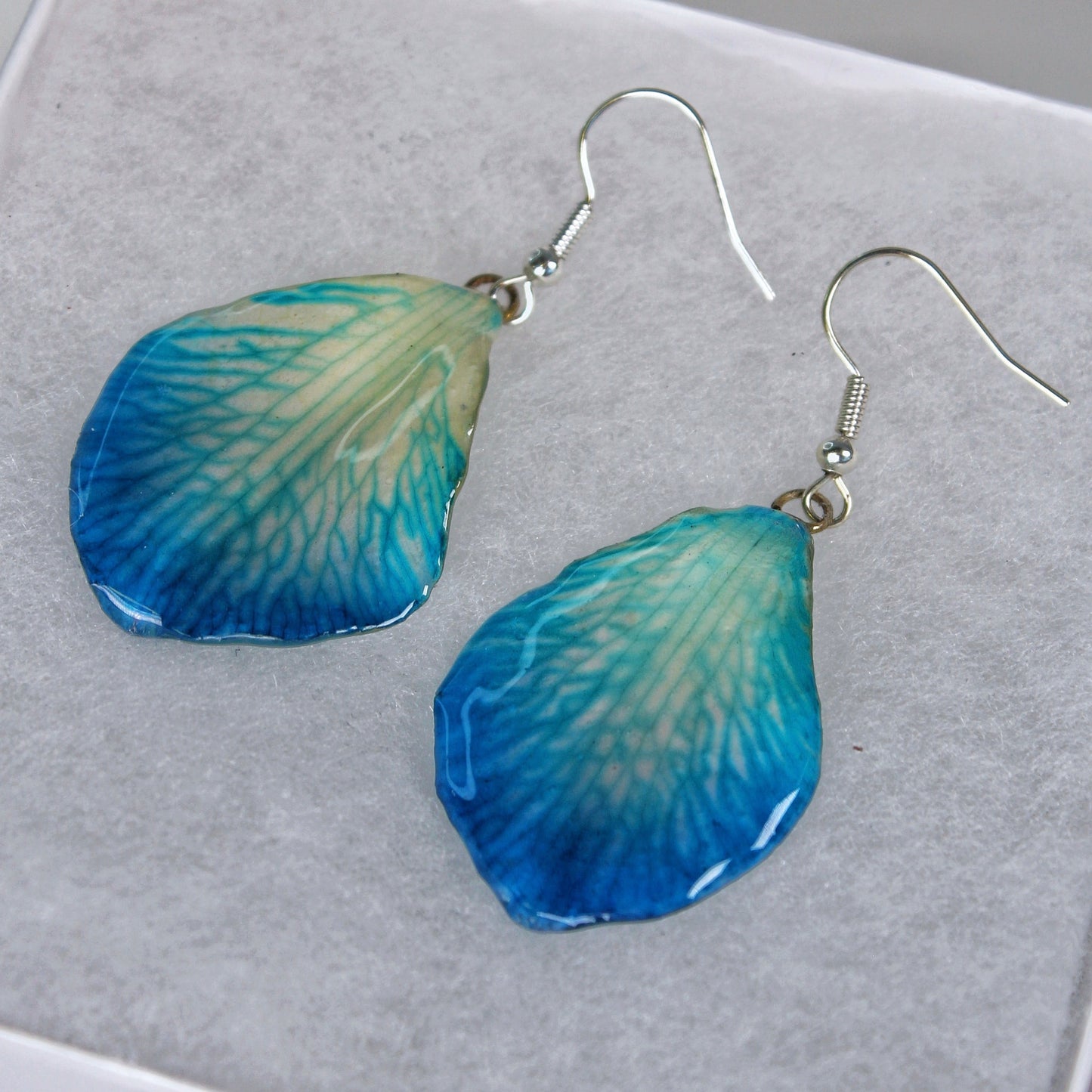 Real Flower Blue Petal Orchid Earrings