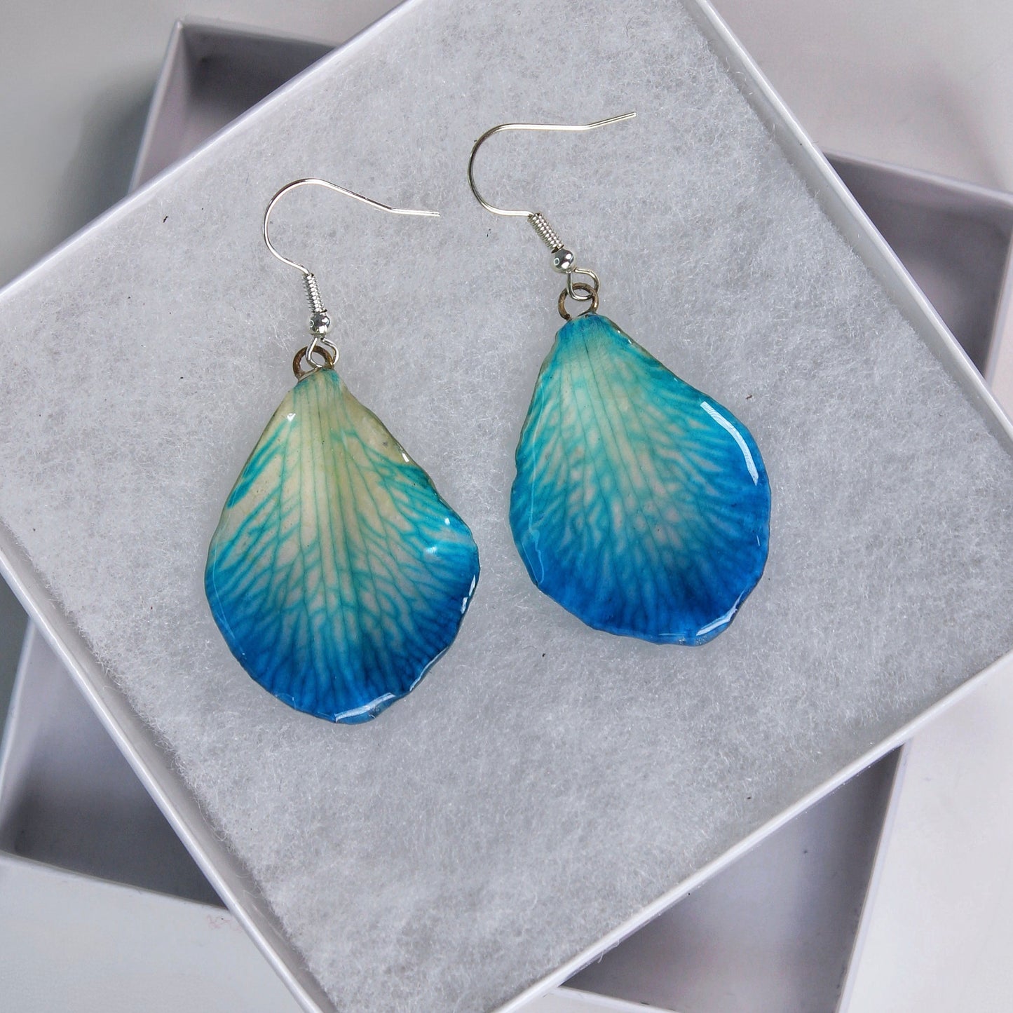 Real Flower Blue Petal Orchid Earrings