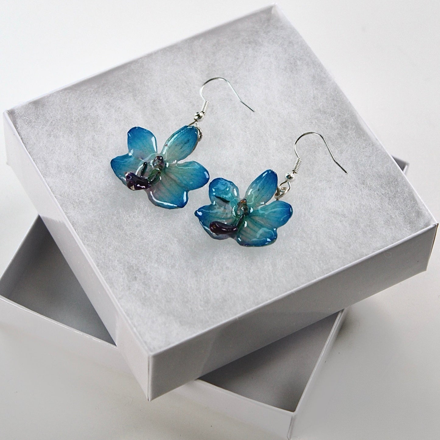 Real Flower Blue Doritis Orchid Earrings