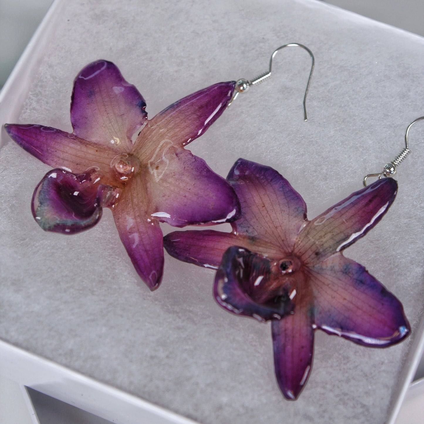 Real Flower Purple Nobile Orchid Earrings
