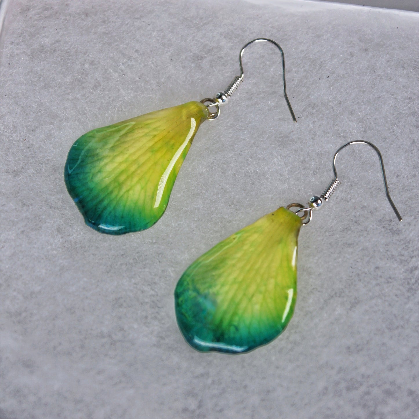 Real Flower Yellow/Green Petal Orchid Earrings