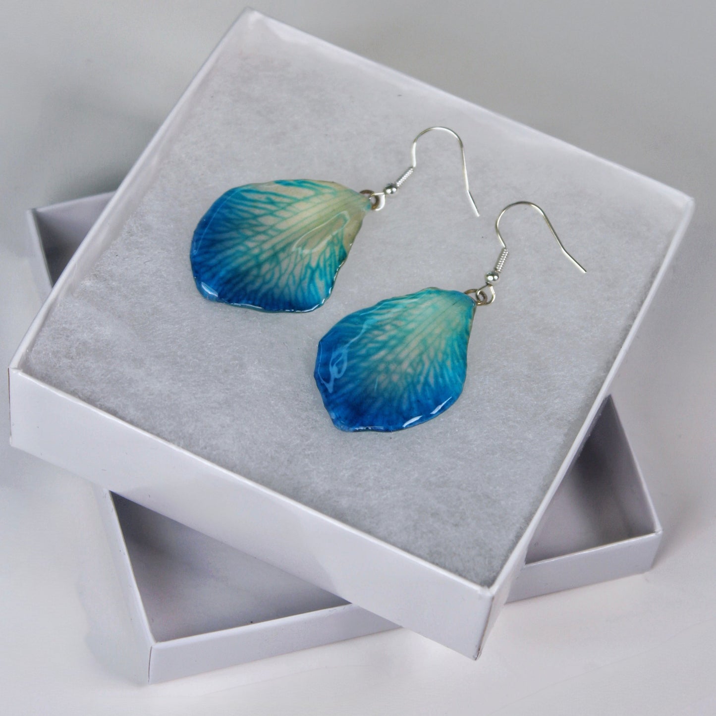 Real Flower Blue Petal Orchid Earrings