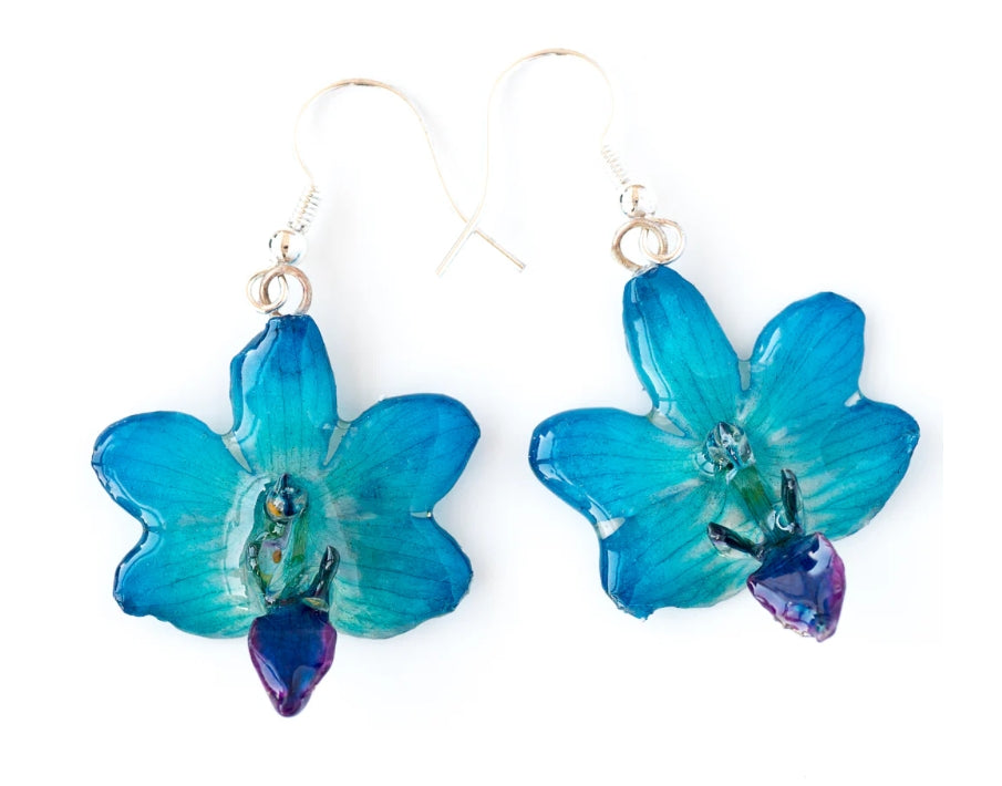Real Flower Blue Doritis Orchid Earrings