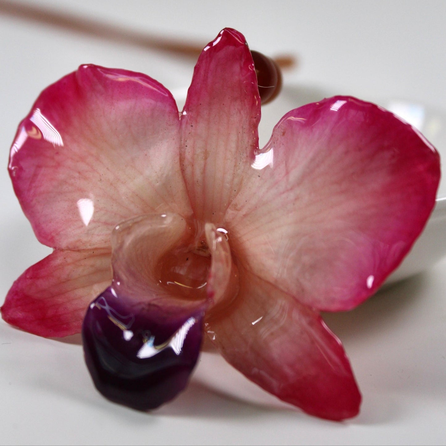 Real Flower Medium Pink/White Dendrobium Orchid Necklace