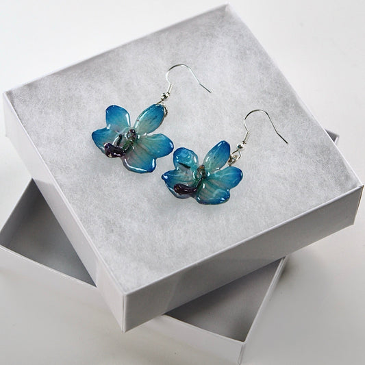 Real Flower Blue Doritis Orchid  Earrings