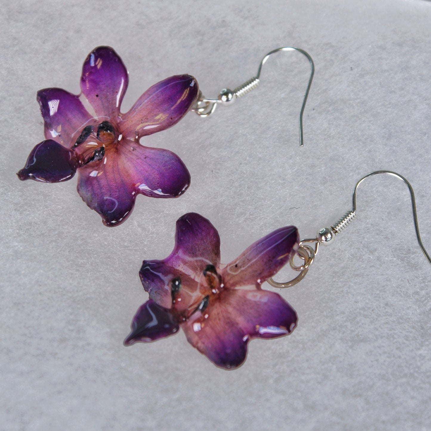 Real Flower Purple Doritis Orchid  Earrings