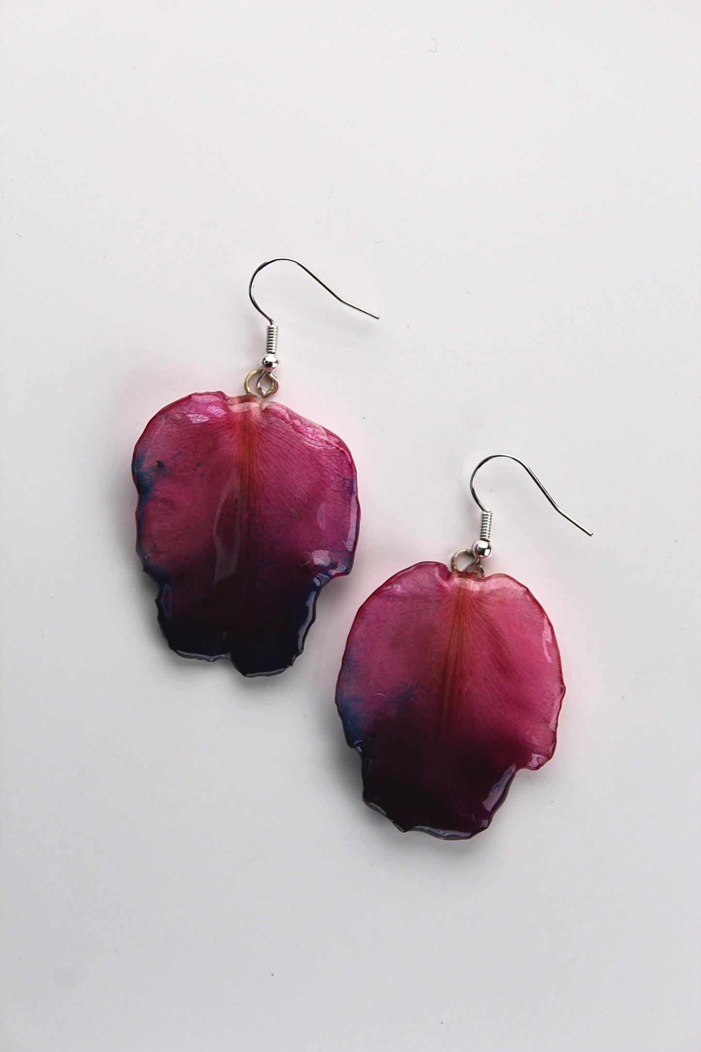 Real Flower Purple Cattleya Orchid Petal Earrings