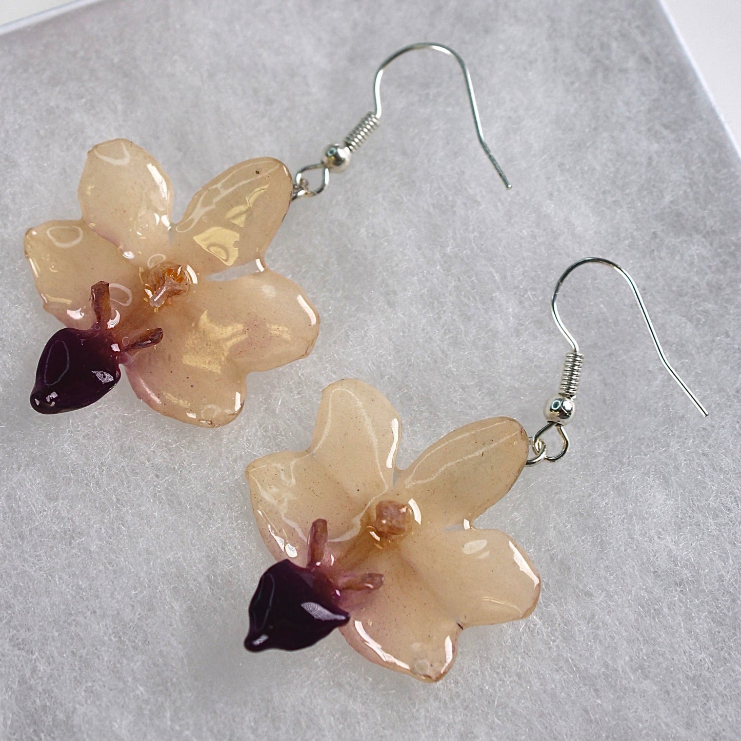 Real Flower White/Purple Doritis Orchid  Earrings