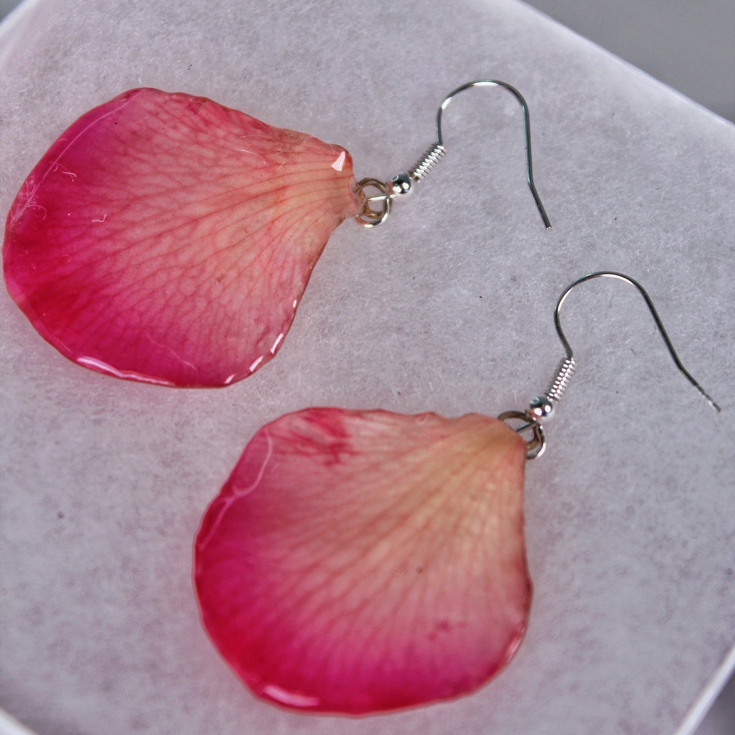Real Flower Pink/White Petal Orchid  Earrings
