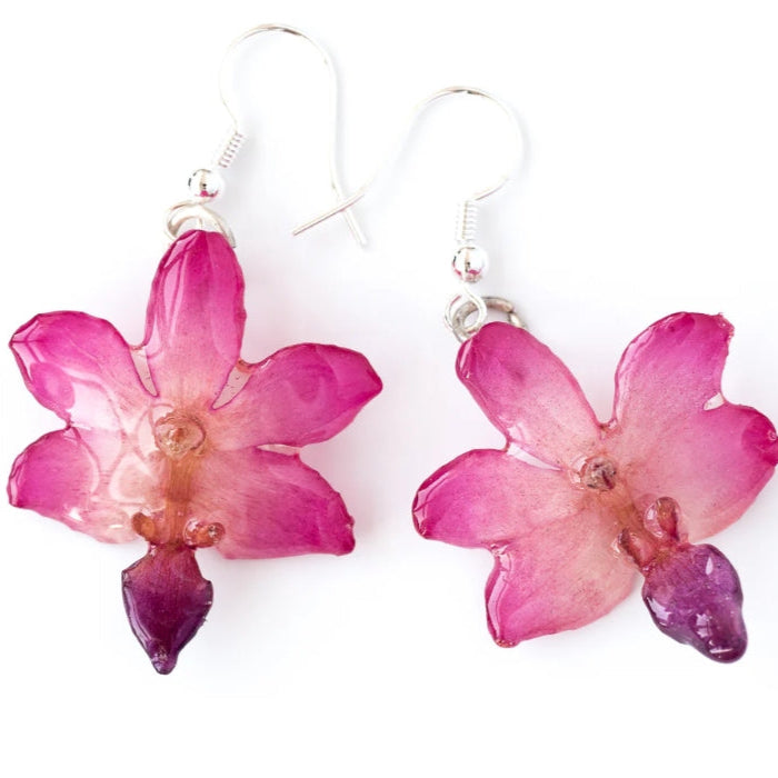 Real Flower Pink Doritis Orchid  Earrings