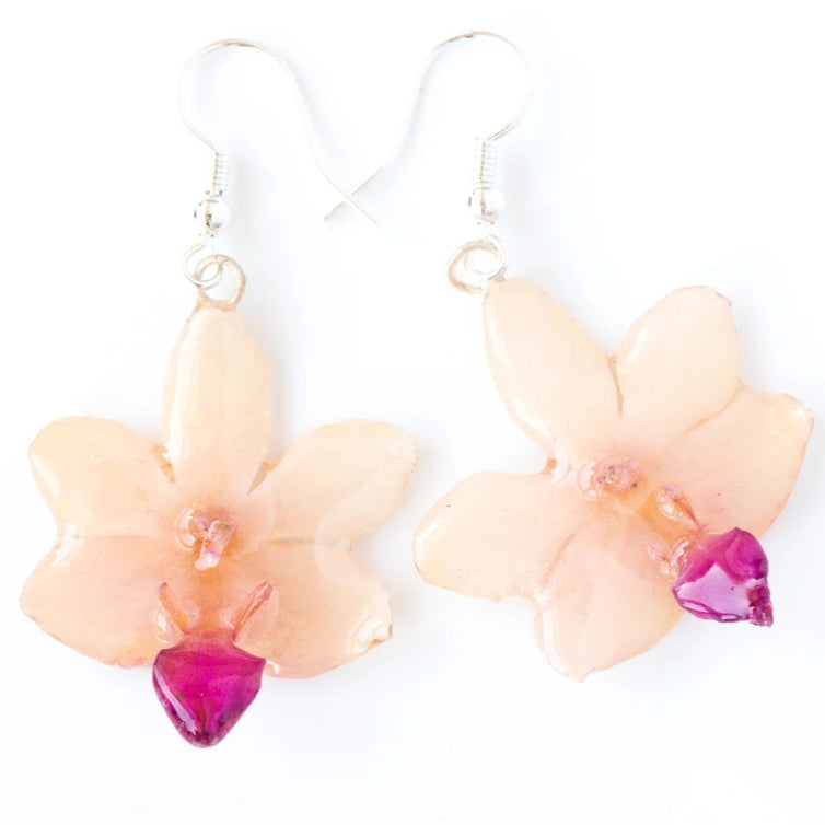 Real Flower White/Purple Doritis Orchid  Earrings